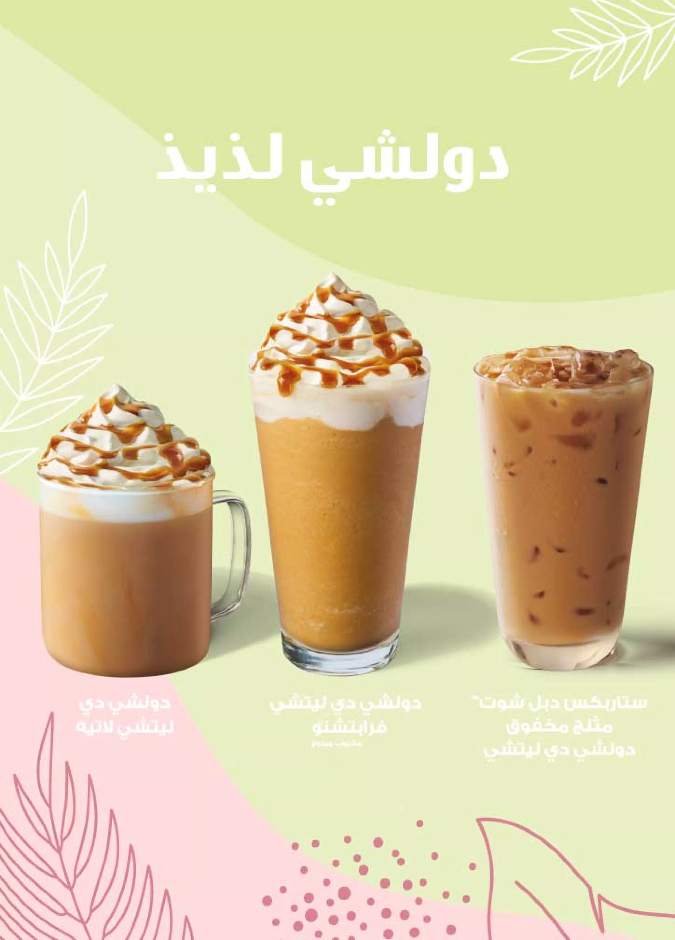 DDL Spring