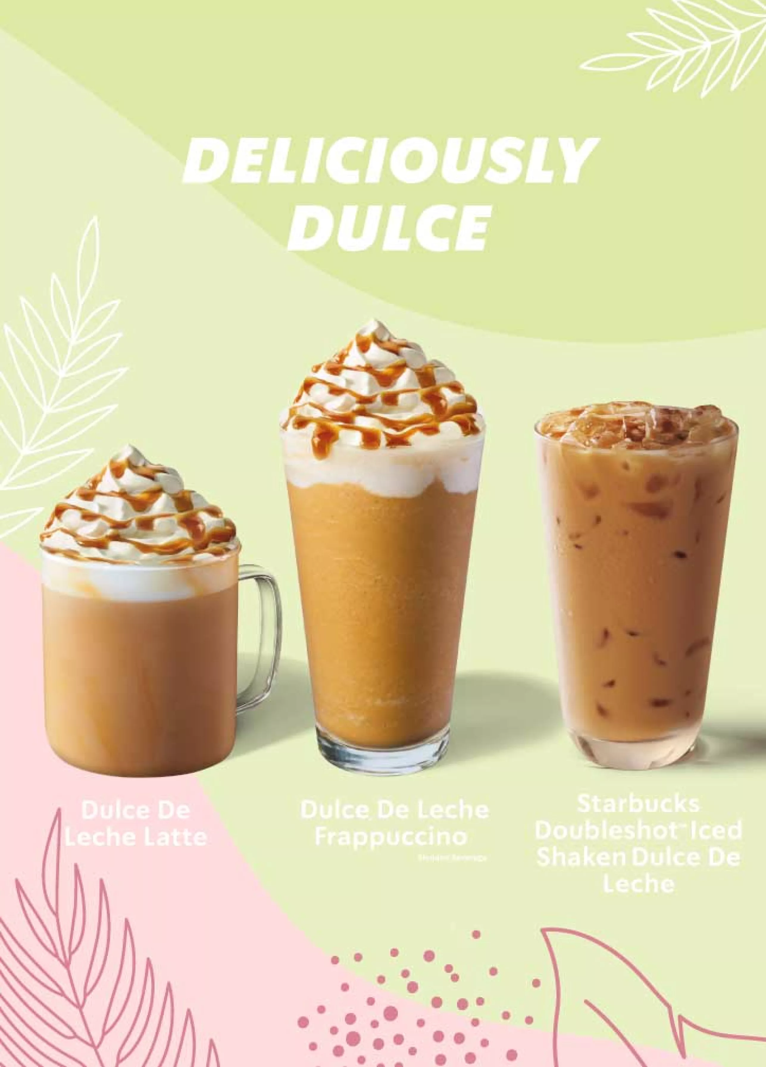 Spring DDL